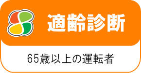 適齢診断－65歳以上の運転者